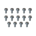 Picture of Moroso MOR Bolts - 38780