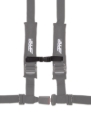 Picture of PRP 2In. Sternum Strap