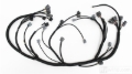 Picture of Rywire 92-95 Honda Civic w/B-Series / 94-01 Acura Integra (LHD Only) OEM Replacement Engine Harness