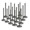 Picture of Supertech SPT Intake Valves - NIVN-1028-16