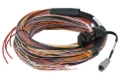 Picture of Haltech PD16 Flying Lead Harness 5M