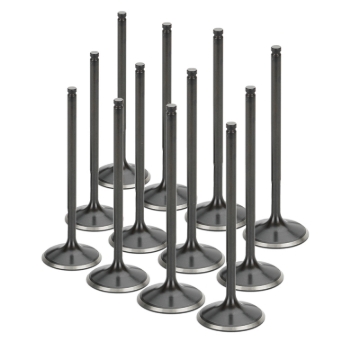 Picture of Supertech SPT Intake Valves - SIVN-1043-12