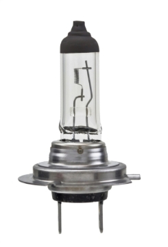 Picture of HELLA H7LL Long Life Series Halogen Light Bulb