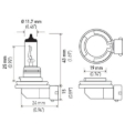 Picture of HELLA H8 Standard Series Halogen Light Bulb