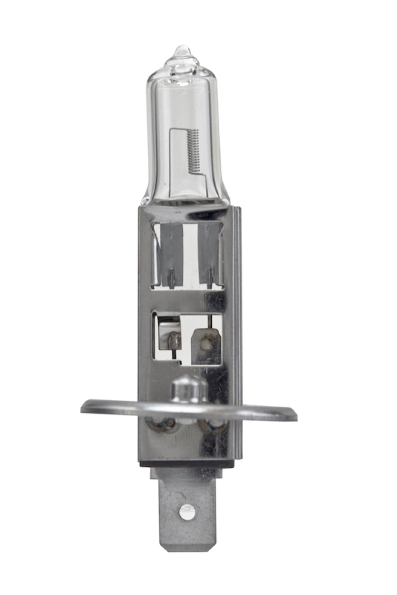 Picture of HELLA H1LL Long Life Series Halogen Light Bulb