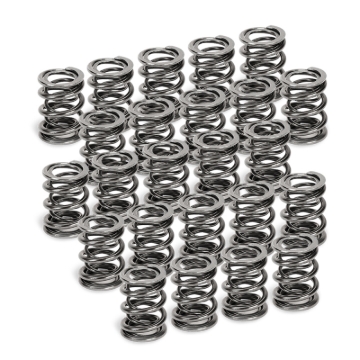 Picture of Supertech SPT Dual Valve Springs Valve Springs, Retainers - SPR-TC25D-24