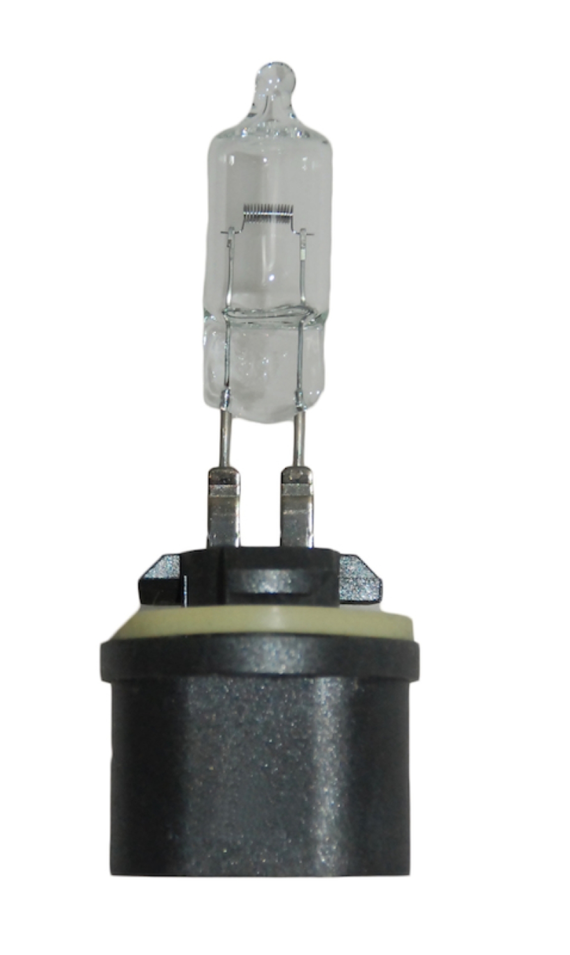 Picture of HELLA 887 Standard Series Halogen Light Bulb