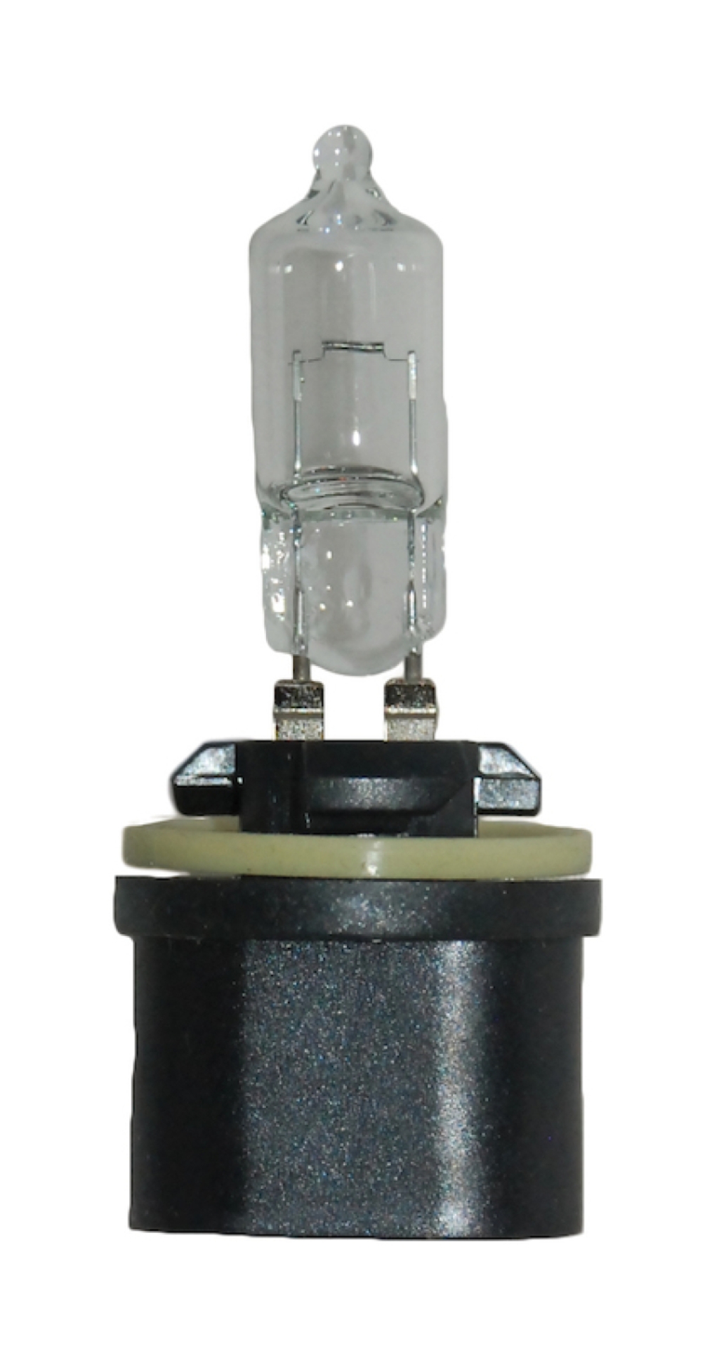 Picture of HELLA 890 Standard Series Halogen Light Bulb