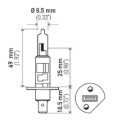 Picture of HELLA H1P50 Performance Series Halogen Light Bulb