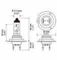 Picture of HELLA H7P50TB Performance Series Halogen Light Bulb
