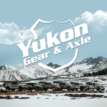 Picture of Yukon Gear Unit Bearing for Ford 8.8in IRS