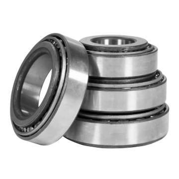 Picture of 13-05 CHR/DOD/JEP