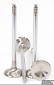 Picture of GSC Power Division GSC Intake Valve Sets-STD - 2092-12