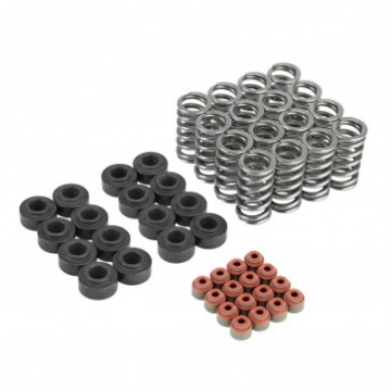 Picture of Skunk2 Honda K20C1/K20C4 Ultra Valve Springs and Spring Base Kit
