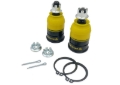 Picture of Whiteline 00-05 Honda Civic EP/ES/EU Front Roll Center Correction Kit