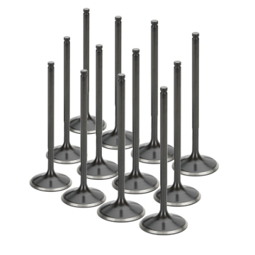 Picture of Supertech SPT Exhaust Valves - BMEVI-1054S-HS-1-12