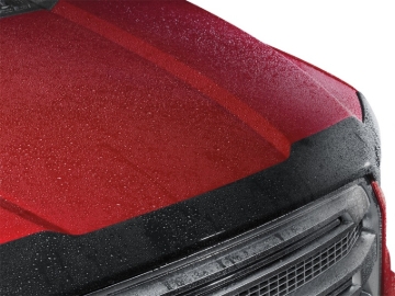 Picture of WeatherTech 2022 Buick Enclave Hood Skin Protector - Dark Smoke