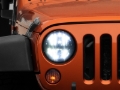 Picture of Raxiom RAX LED Headlights - J108039