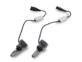 Picture of Raxiom Axial Series LED Headlight/Fog Light Bulbs (H11)