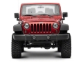 Picture of Raxiom RAX Turn Signals Sidemarkers & Indicators - J108040