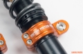Picture of Moton MTO 1-Way Coilover - M 500 155S