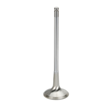 Picture of Supertech SPT Exhaust Valves - BMEVI-1054S
