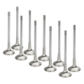 Picture of Supertech SPT Exhaust Valves - VWEVI-1037-10