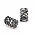Picture of Supertech SPT Dual Valve Springs Valve Springs, Retainers - SPR-3073-2034