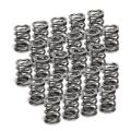 Picture of Supertech SPT Dual Valve Springs Valve Springs, Retainers - SPR-TS1015-24