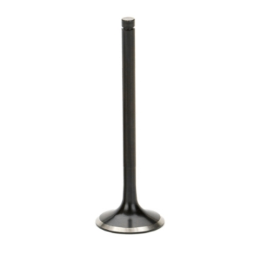 Picture of Supertech SPT Exhaust Valves - TEVN-2045