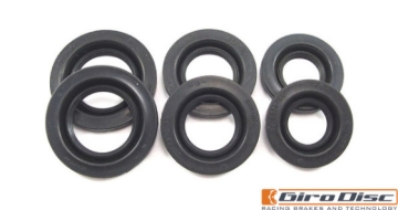 Picture of GiroDisc Porsche 911 Carrera (991.2) w/PCCB Front Dust Boot
