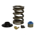 Picture of SPRING KIT, FORD GT40 / GT40P CYLINDER HEAD, .570" MAX LIFT
