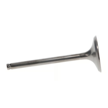 Picture of Wiseco 09-18 Kawasaki KX450F Titanium Exhaust Valve