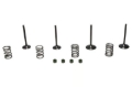 Picture of Wiseco 06-11 Suzuki LT-R450 Steel Valve Set