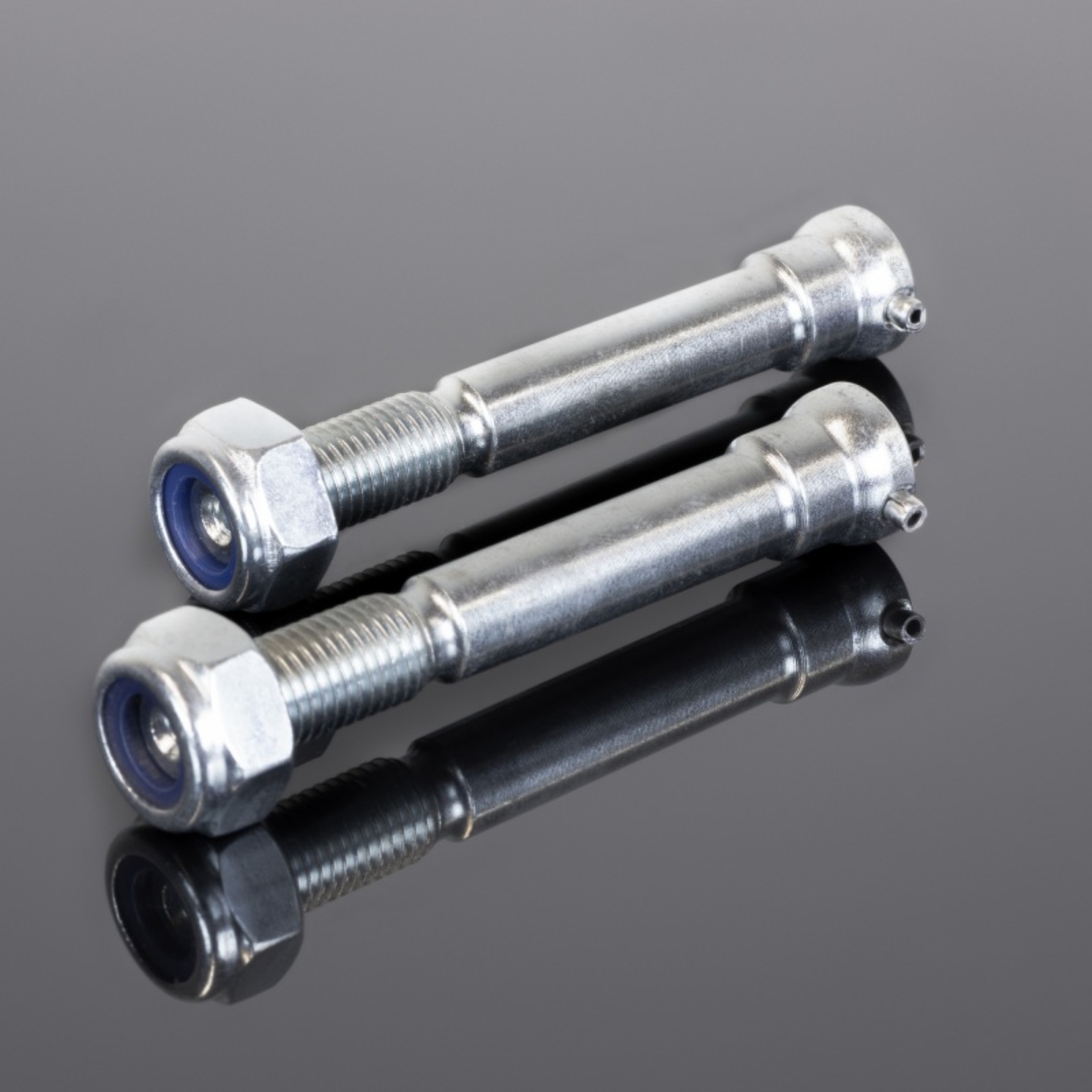 Picture of Renthal Spare Bolts M12 X 77 mm.