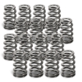 Picture of Supertech 02-07 Mini Cooper R53 1.6L Beehive Valve Springs - Set of 16
