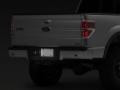 Picture of Raxiom 01-14 Ford F-150 Axial Series LED License Plate Light Bulb