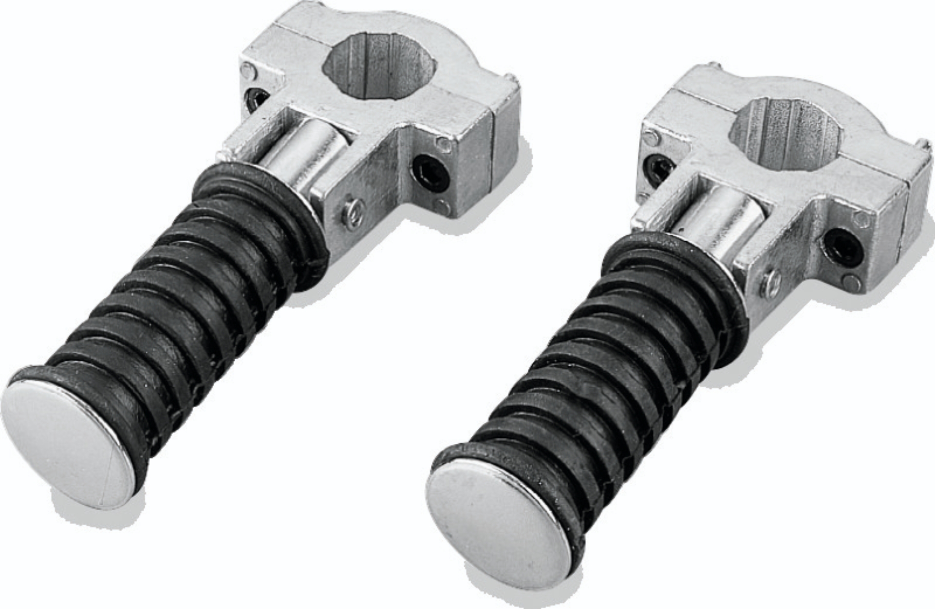 Picture of BikeMaster Footpegs Engine Guard
