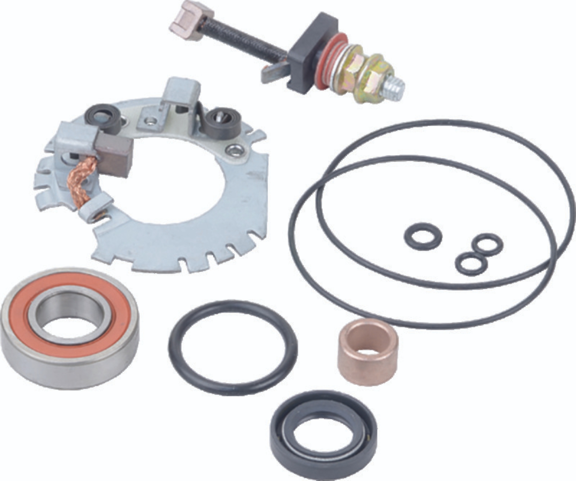 Picture of BikeMaster Starter Rebuild W/Brush