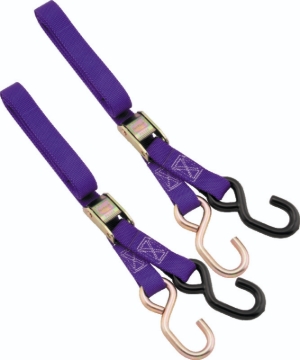 Picture of BikeMaster 1in Tiedown - Purple