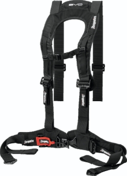 Picture of DragonFire Racing Harness Evo- Black