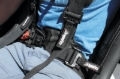 Picture of DragonFire Racing Harness Evo- Black