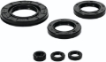 Picture of QuadBoss Oil Seal Set