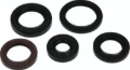 Picture of QuadBoss Oil Seal Set