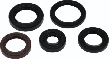 Picture of QuadBoss Oil Seal Set