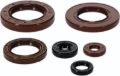 Picture of QuadBoss 2022 Can-Am Commander 700 DPS Oil Seal Set