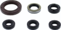 Picture of QuadBoss Oil Seal Set