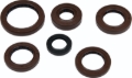 Picture of QuadBoss Oil Seal Set