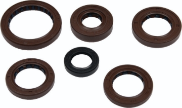 Picture of QuadBoss Oil Seal Set