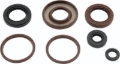 Picture of QuadBoss Oil Seal Set